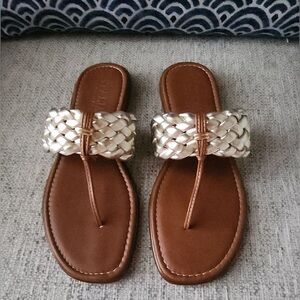 Italian Shoemaker Hasley Flip Flop